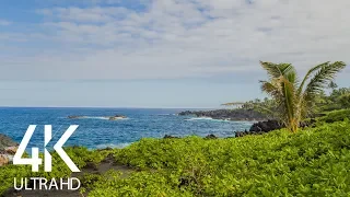 The Soothing Sound of the Pacific Ocean Waves - 8 HOURS Nature Soundscapes Video - Part #1