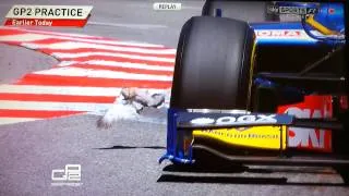 Monaco F1 2013 - dove close call