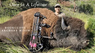 Once In A Lifetime Bookcliffs Archery Bison