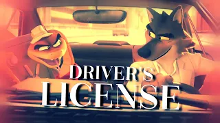 Wolf&Snake -  Driver's License