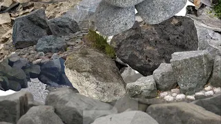 Roxanne but it's just rocks but it's longer