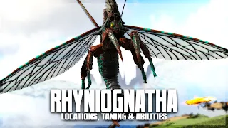 Rhyniognatha - Taming, Locations & Abilities - Guide to Ark's NEW CREATURE