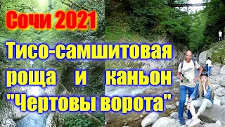 🌍 Хоста что посмотреть 🌍 Тисо самшитовая роща Хоста видео 2021 🌍 Сочи-2021 цены