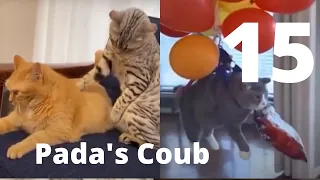 💌Best Coub Приколы V15 - BEST CUBE PADA'S COUB Part 15 - 🌊Memes Cube Compilation