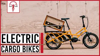 Top 10 Best Electric Cargo Bikes