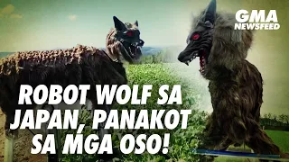 GMA News Feed: Robot wolf sa Japan, panakot sa mga oso!