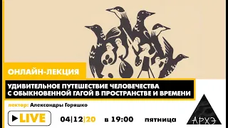 Удивительное путешествие человечества с обыкновенной гагой в пространстве и времени| А.Горяшко