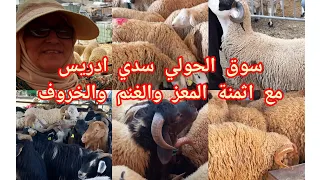 سوق سيدي ادريس طنجة مع اثمنة الحولي🐑🐑