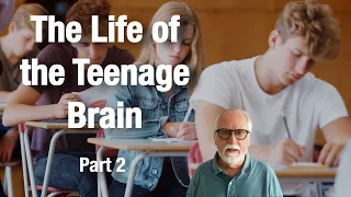 The Secret Life of the Adolescent Brain: The Work of Sarah-Jayne Blakemore