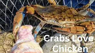 Catching Blue Crabs The Easy Way