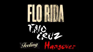 FEELING HANGOVER - Taio Cruz and Flo Rida Mashup by John Is Burning