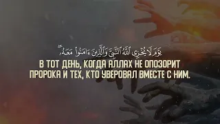 Ат тахрим  Abdulaziz Az Zahrani