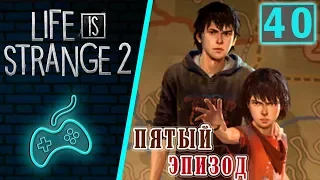 Life is Strange 2 - Прохождение. Часть 40: Эпизод 5: Волки. Ночь в каньоне