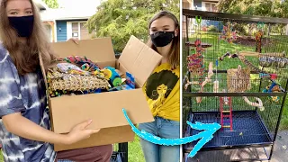 Making this kid’s wish come true... | Elle’s Avian Essentials + cage giveaway