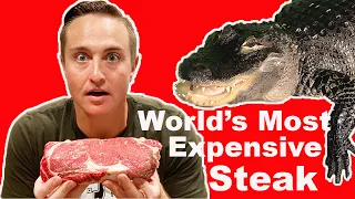Feeding My Alligator The World's Most EXPENSIVE Steak!!!