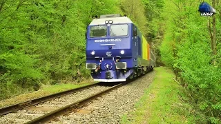 Trenuri & Trafic Feroviar/Trains & Rail Traffic in Defileul Crișului Repede Canyon - 28 April 2020