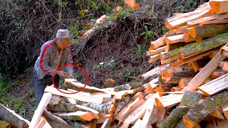 jungle man family cutting fire wood || @junglefamily