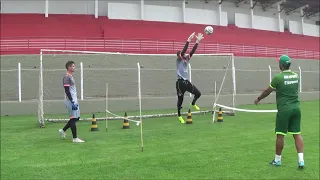 Treinamento de Goleiro Profissional