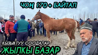 Ноокат Жылкы Базары Соодалар Кандай Болду ? 24_03_2024