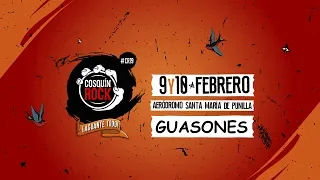 Guasones - Cosquin Rock 2019 HD