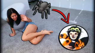 SPIDER DOG PRANK ON GIRLFRIEND!! *HILARIOUS*