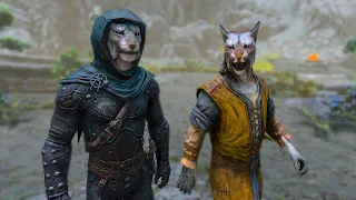 If you come to kill a Khajiit as a Khajiit, the dialogue option will change