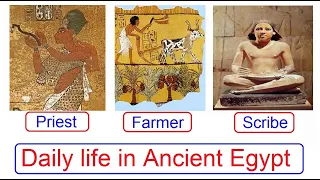Daily life in Ancient Egypt video
