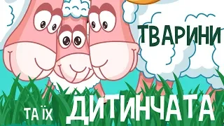 ТВАРИНИ та їх ДИТИНЧАТА || Тварин для дітей - мультфільми українською мовою. З любов`ю!