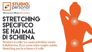 MAL di SCHIENA? Ecco come farlo passare (con un esercizio di STRETCHING)