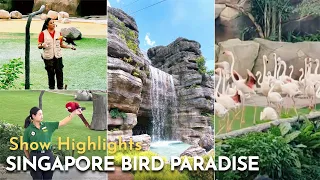 🐦Singapore Bird paradise LATEST ATTRACTION 🤩 Show highlights Wings of the World