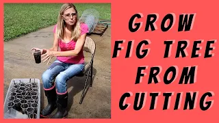 How to Grow a Fig Tree from a Cutting | Propagate Figs for your Garden | Growing Figs Cuttings