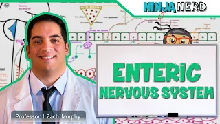 Neurology | Enteric Nervous System