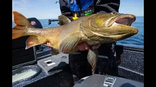 Catching the most incredible fish we have ever seen! Offshore fishing on Lake Superior.