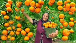 Harvesting Large Tangerines from Garden and Making Lots of Jam and Cake!