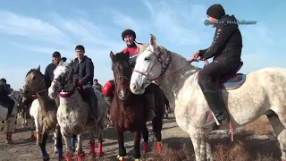 Аралбаевтар аулети Бакытжан мырзанын елден бата алу кокпары 24 12 2021 Шардара ауданы Көкпар