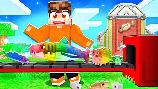 VIS FABRIEK MAKEN Op Mijn SKYBLOCK In Minecraft! (Kleurstad)