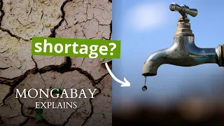 Are we running out of freshwater? | Mongabay explains
