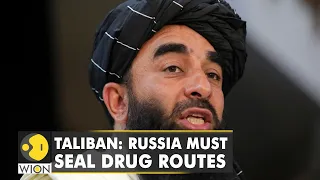 Afghanistan News | Taliban seeks help from Russia to stop drug trafficking | WION Latest News