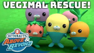 Octonauts: Above & Beyond - Vegimals to the Rescue! | Hero Month | Compilation |  @Octonauts​