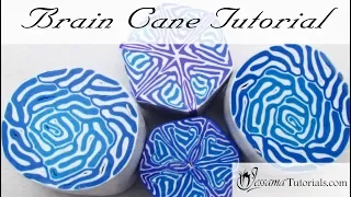 Easy Polymer Clay Cane: Brain Cane Tutorial