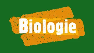 Das Fach Biologie am Gymnasium Engen