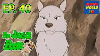 O LIVRO DA SELVA série animada | em Português | desenhos animados para crianças | episódio 40