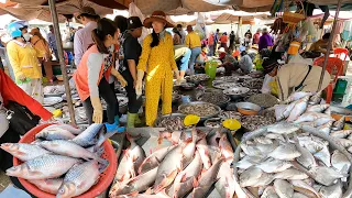 Amazing Wholesale Fish Market Scenes - Live Fish, Fresh Fish, Seafood, People Activities & More|Papa