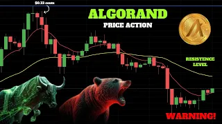 ALGORAND SET FOR A COMEBACK!? 🚨 | Price Analysis 🧐