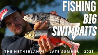 Big Swimbait Fishing - Custom Savage Trouts - Late Summer Pike Fishing