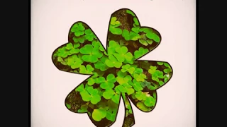 St Patrick's Day - Irish Drinking Pub Songs Collection - Part 2 Playlist #stpatricksday