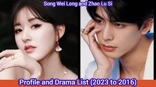 Song Wei Long and Zhao Lu Si | Profile and Drama List (2023 to 2016) |