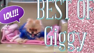 BEST OF GIGGY VANDERPUMP: Rest In Peace 12/12/20