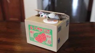 Weird Japanese Toys - Kitty Coin Bank