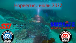 Дайвинг в Норвегии. июль 2022 Diving @ fishing in Norway